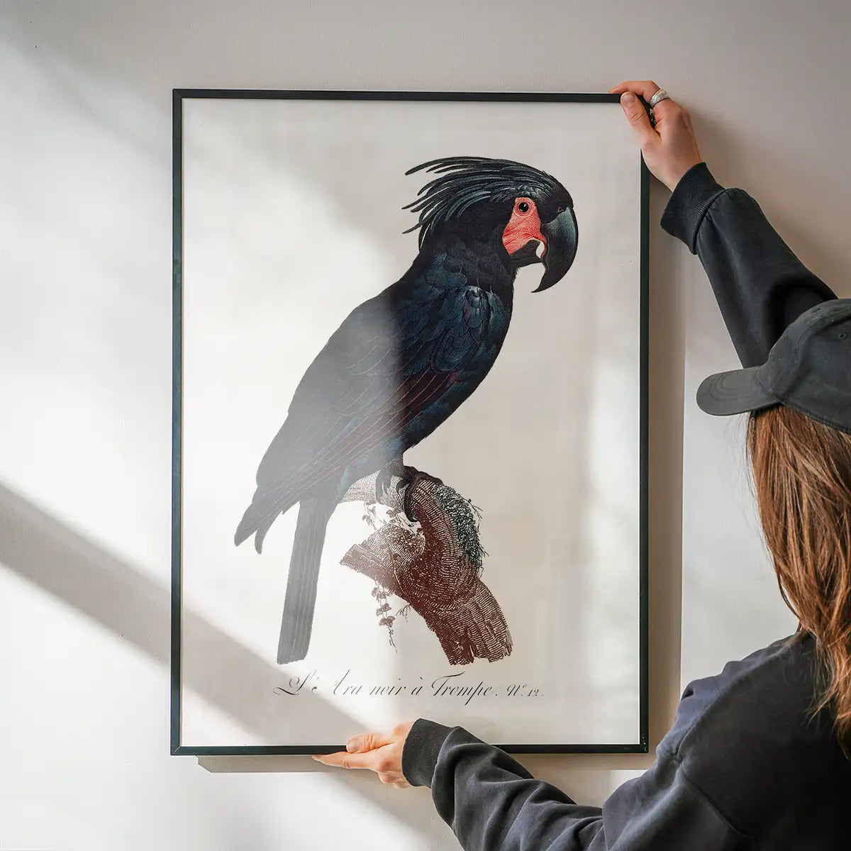 Palm Cockatoo Parrot Bird Print