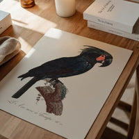Palm Cockatoo Parrot Bird Print