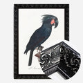 Black Ornate Frame