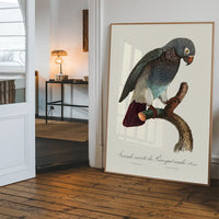 Grey Parrot Bird Print