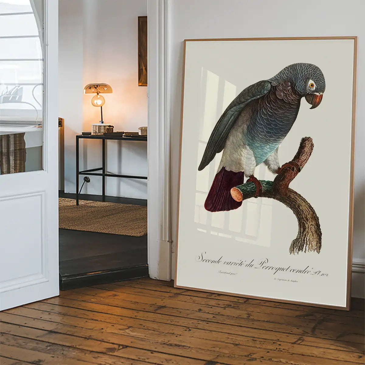 Grey Parrot Bird Print