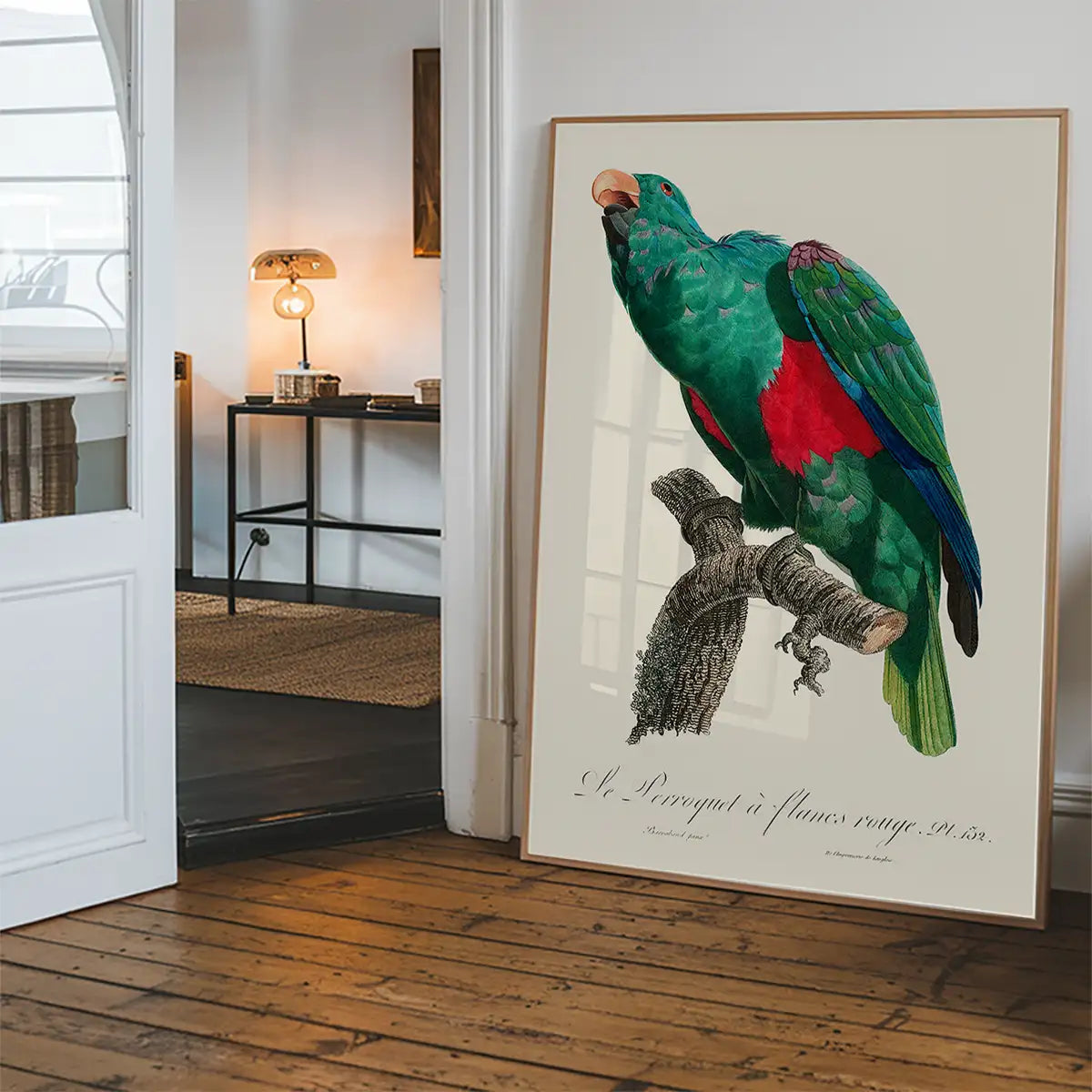 Eclectus Parrot Bird Print