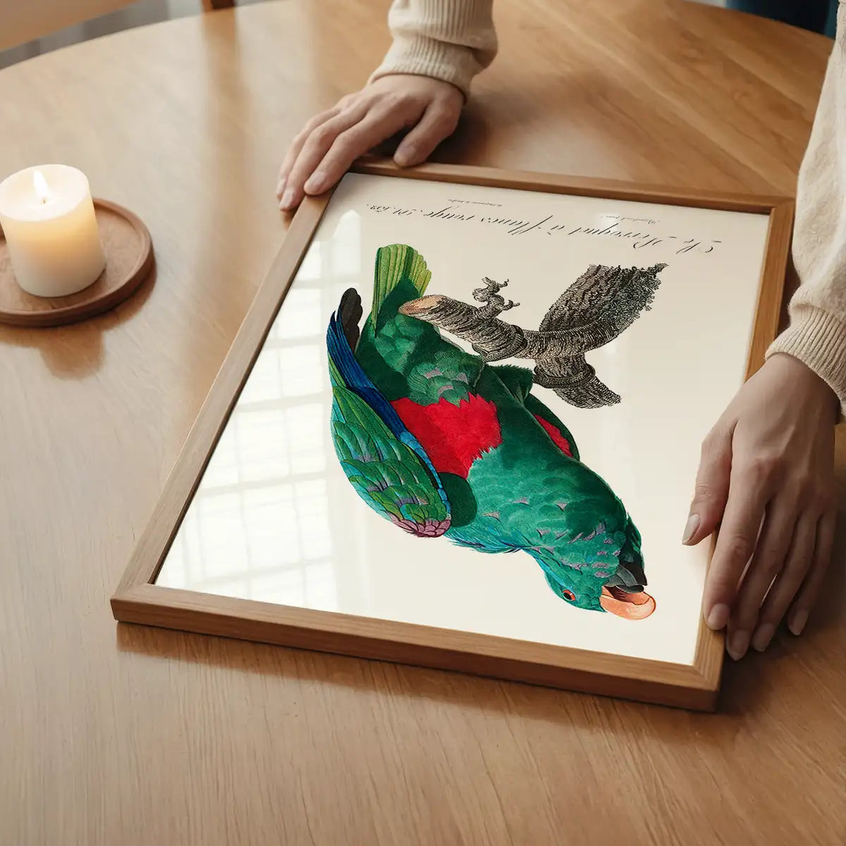Eclectus Parrot Bird Print