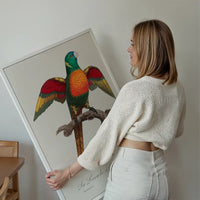 Blue Headed Parrot Bird Print