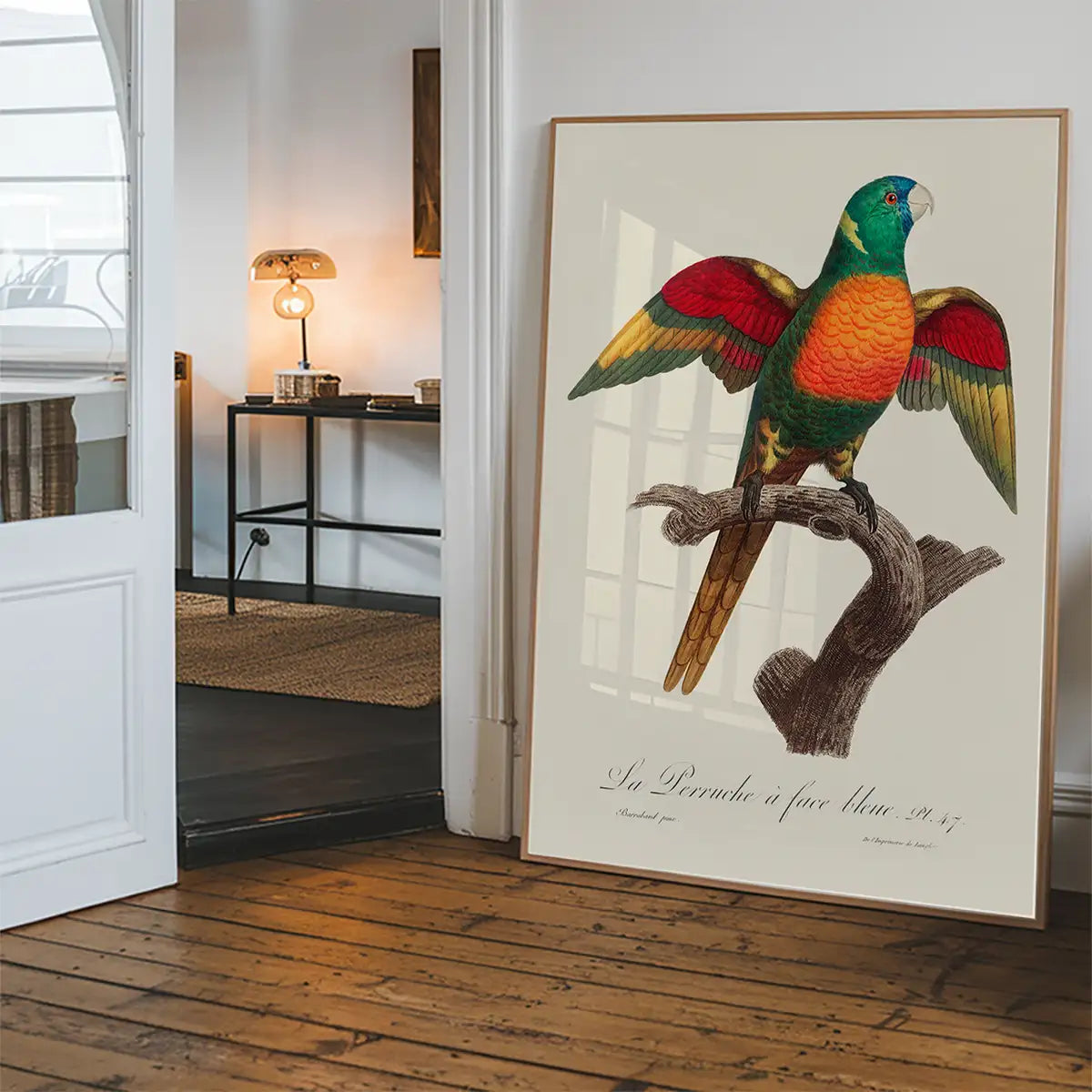 Blue Headed Parrot Bird Print