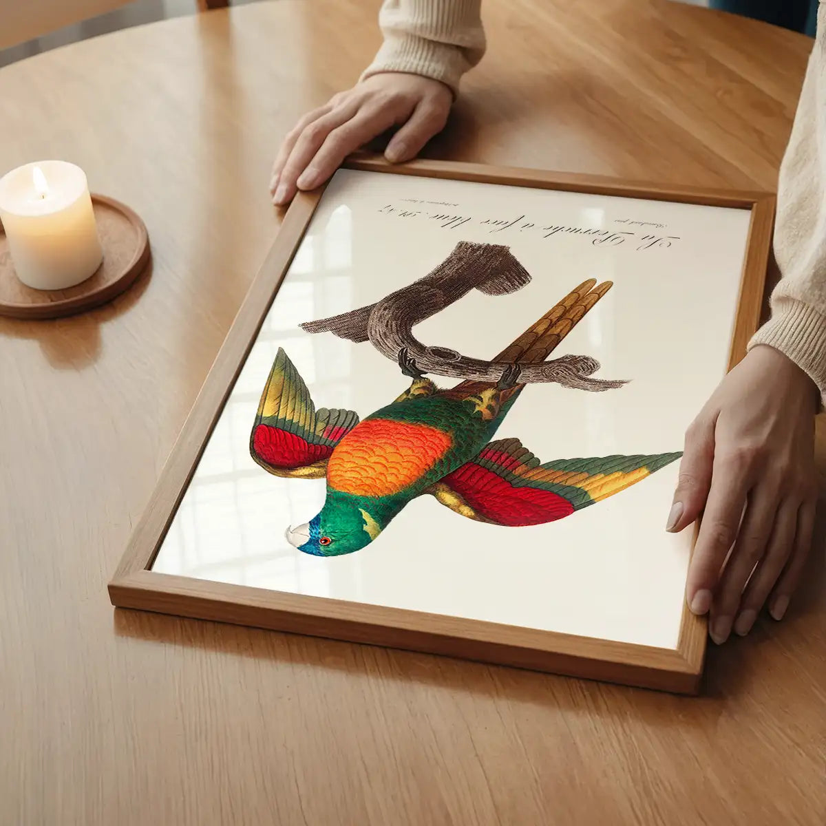 Blue Headed Parrot Bird Print