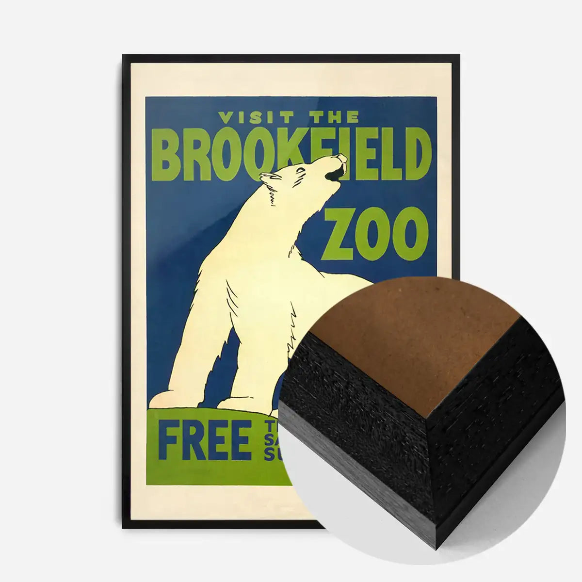 Brookfield Zoo Illinois Polar Bear Poster