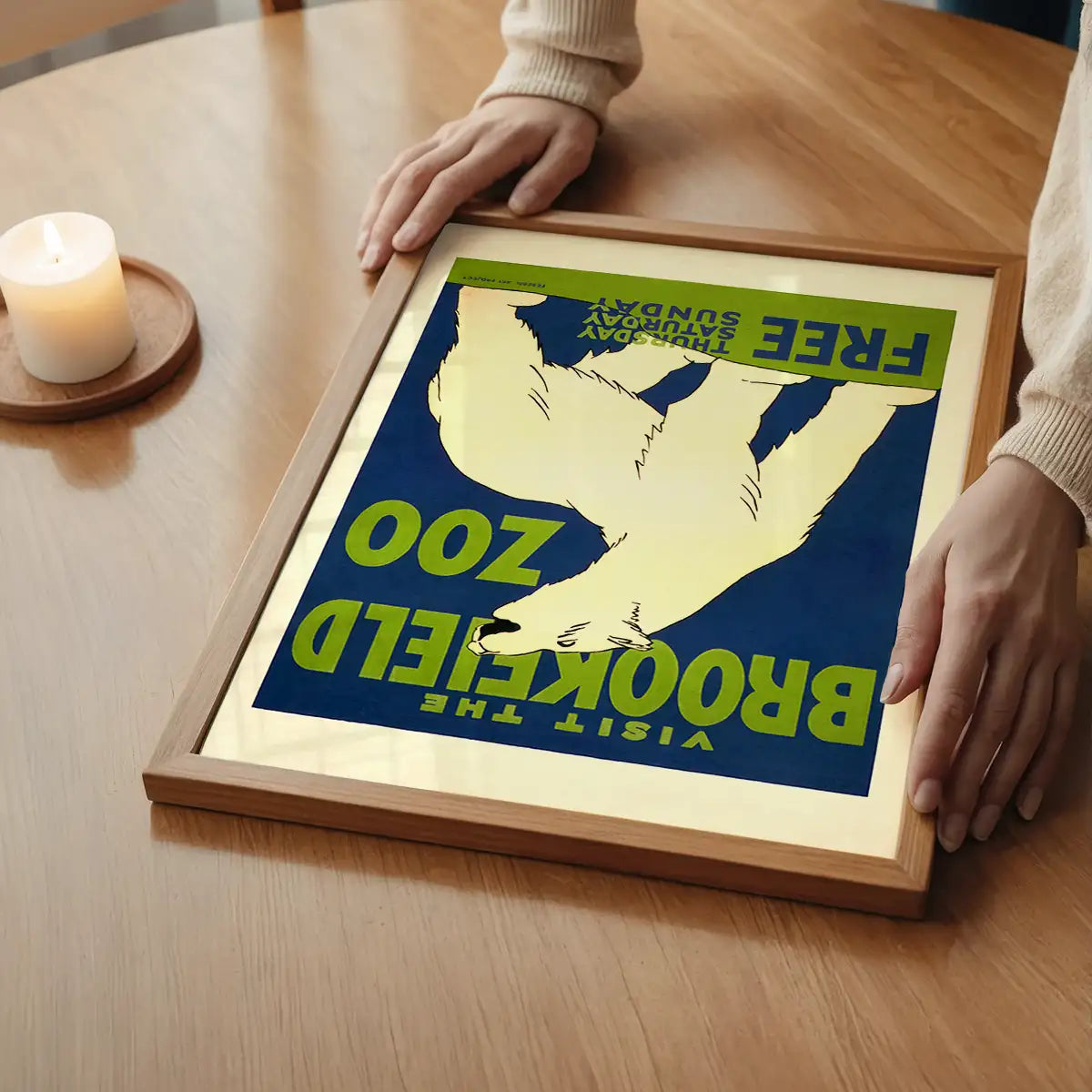 Brookfield Zoo Illinois Polar Bear Poster