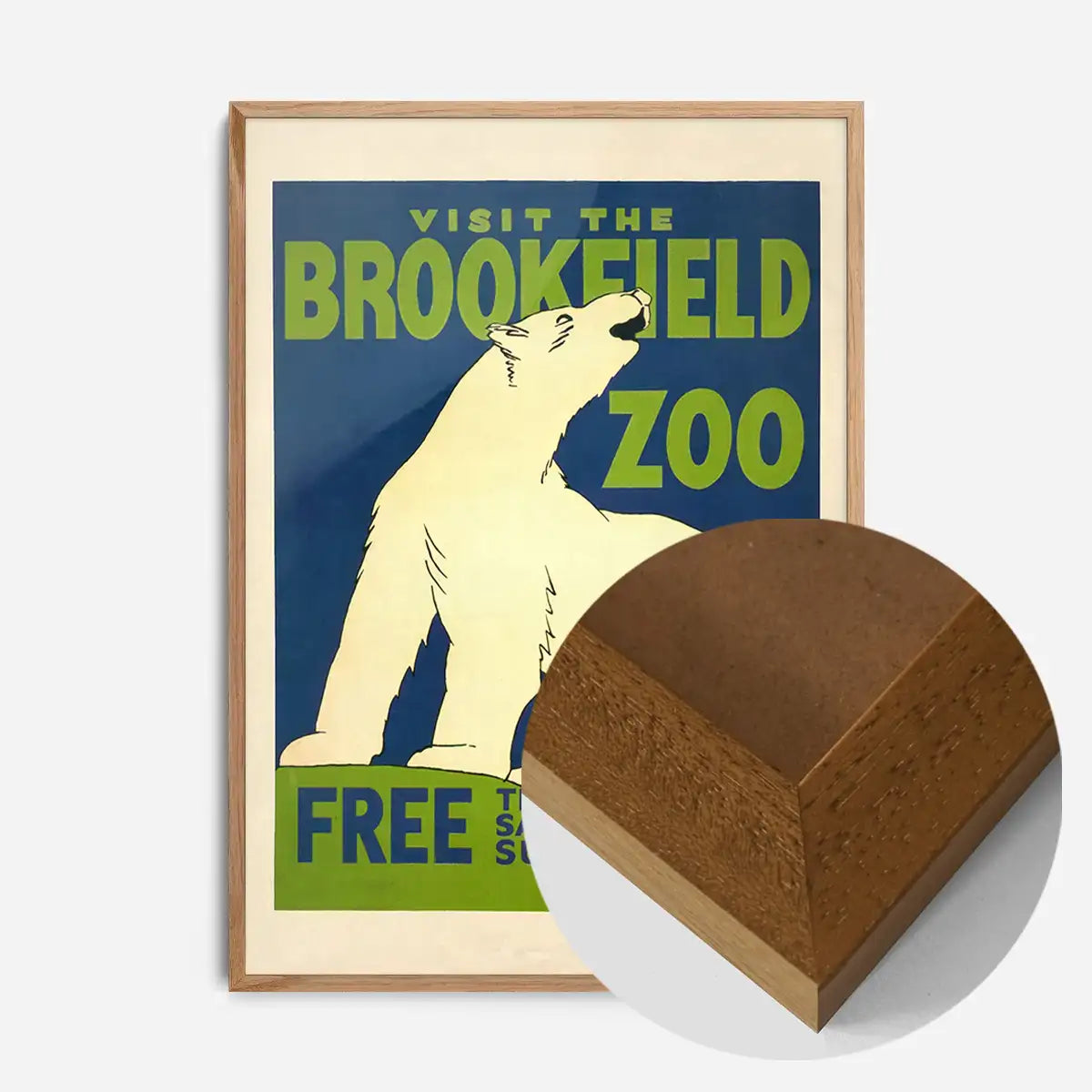 Brookfield Zoo Illinois Polar Bear Poster