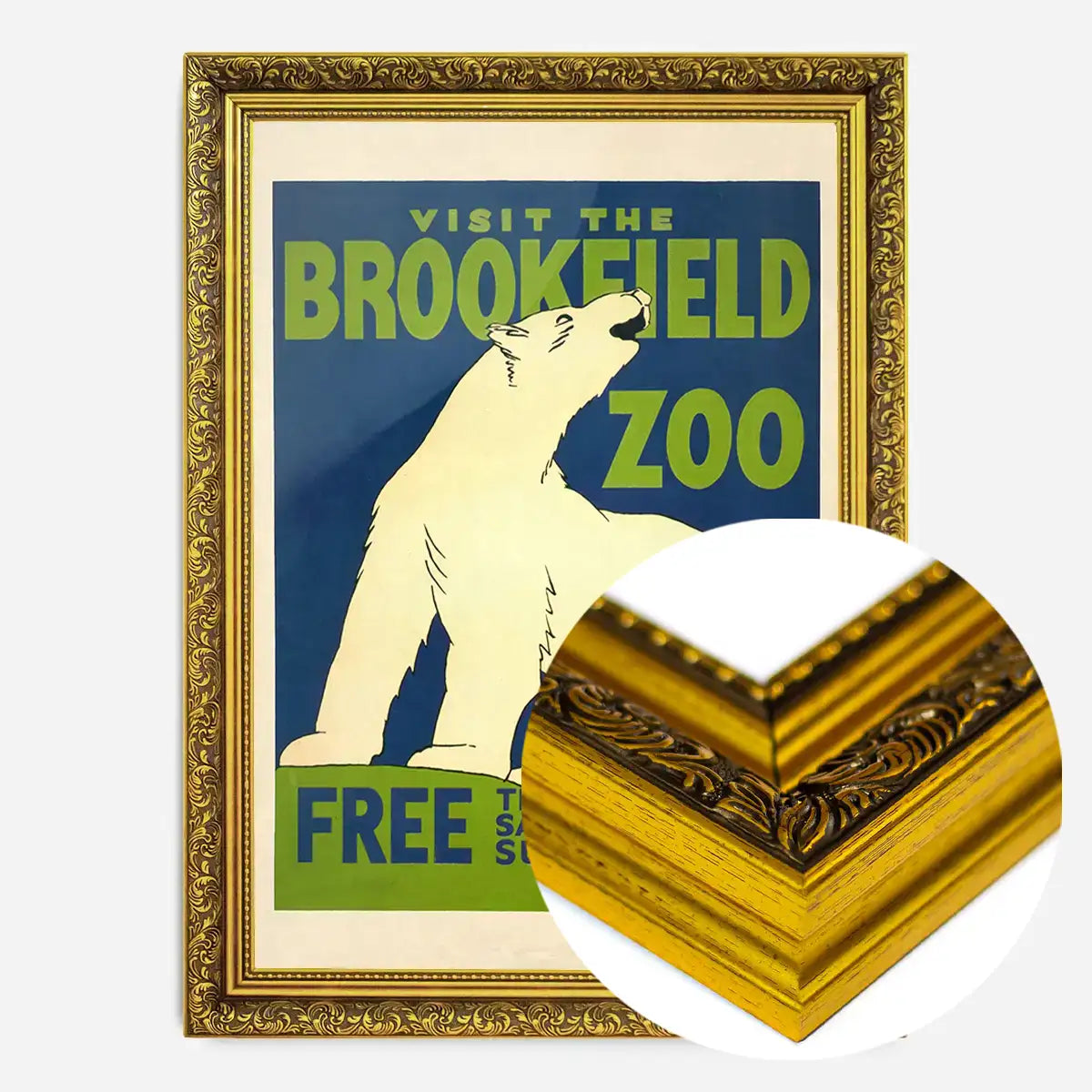 Brookfield Zoo Illinois Polar Bear Poster