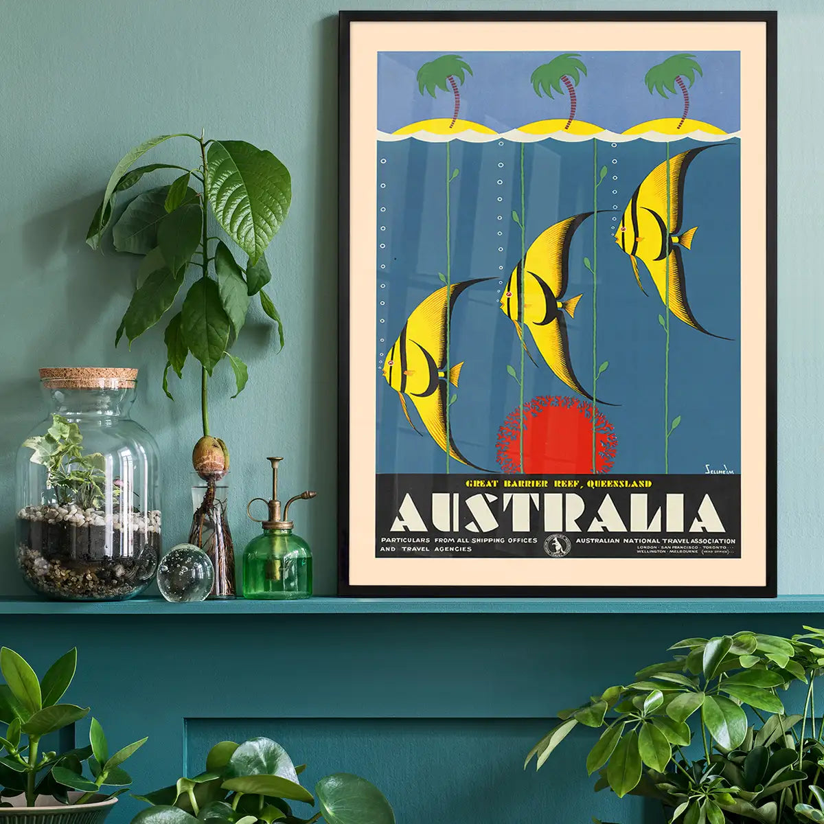 Great Barrier Reef Queensland Australia Fish Tourist Poster