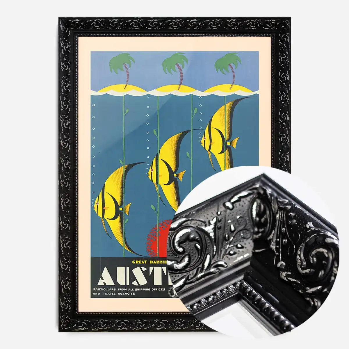Great Barrier Reef Queensland Australia Fish Tourist Poster