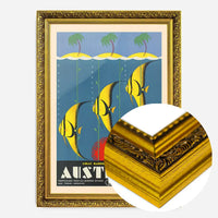 Great Barrier Reef Queensland Australia Fish Tourist Poster