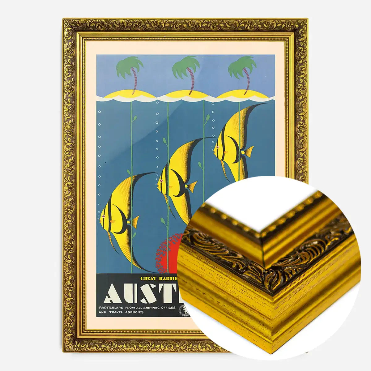 Great Barrier Reef Queensland Australia Fish Tourist Poster