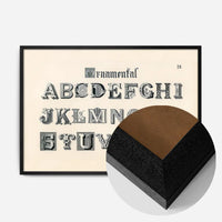 Vintage Ornamental Alphabet Typography