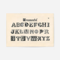Vintage Ornamental Alphabet Typography