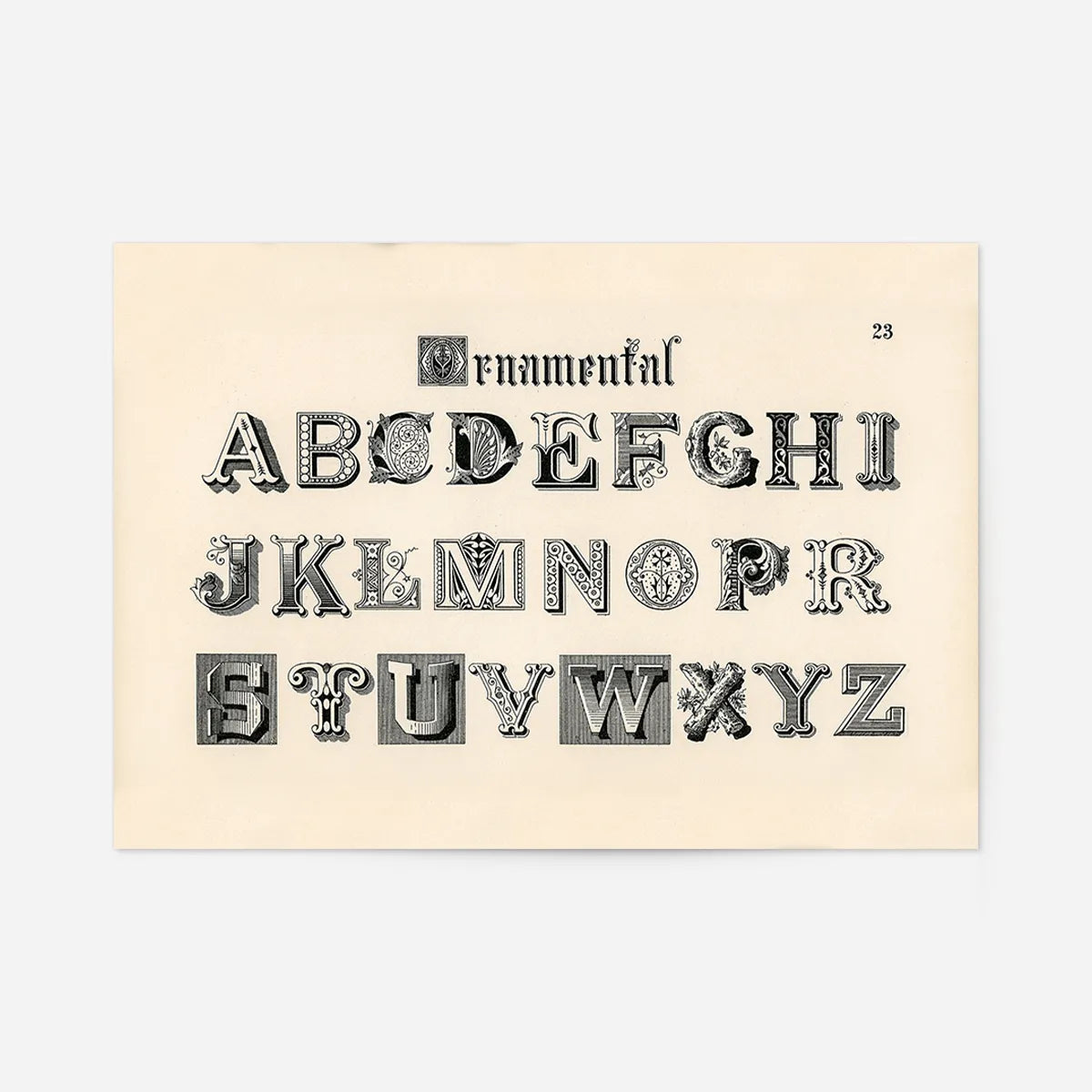 Vintage Ornamental Alphabet Typography