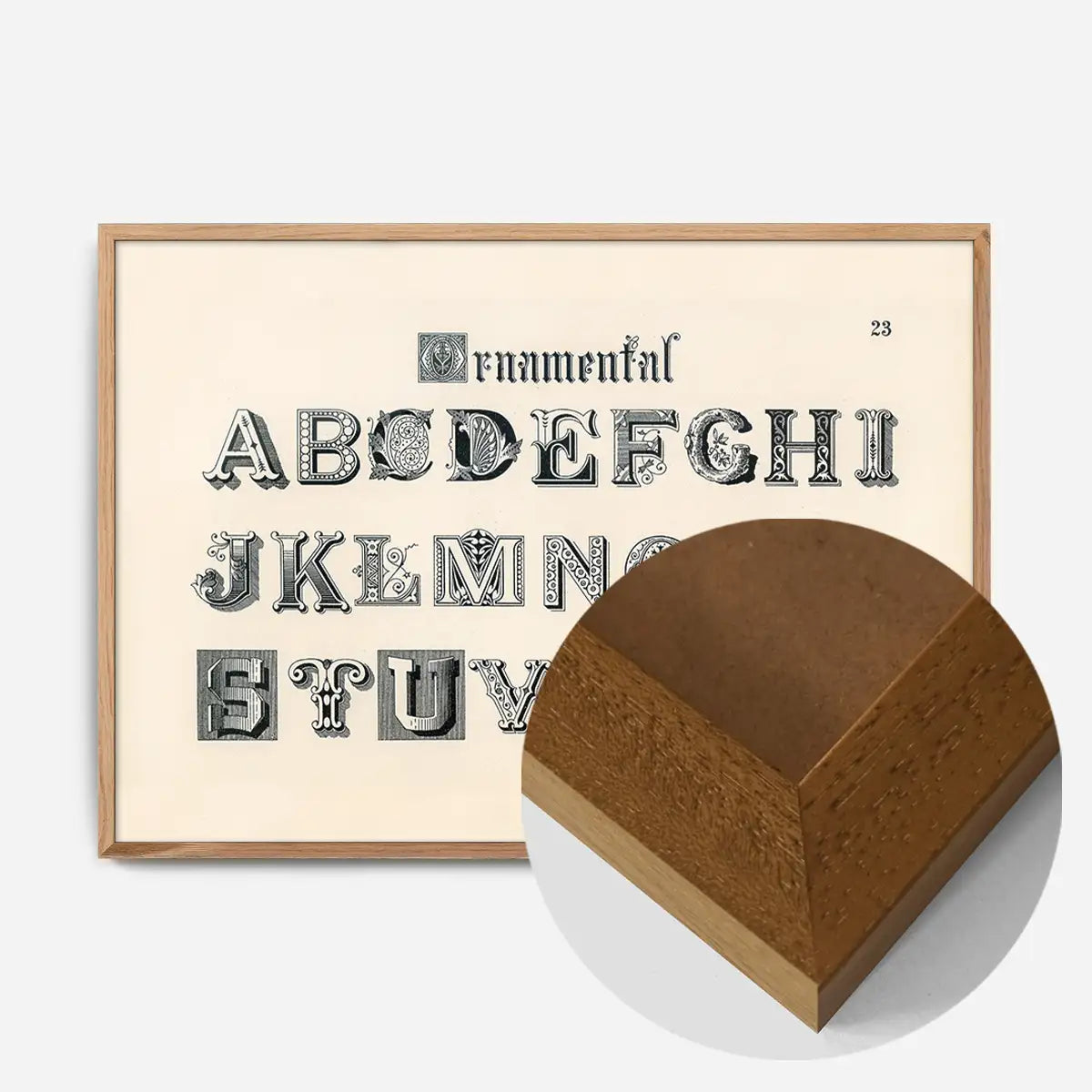 Vintage Ornamental Alphabet Typography