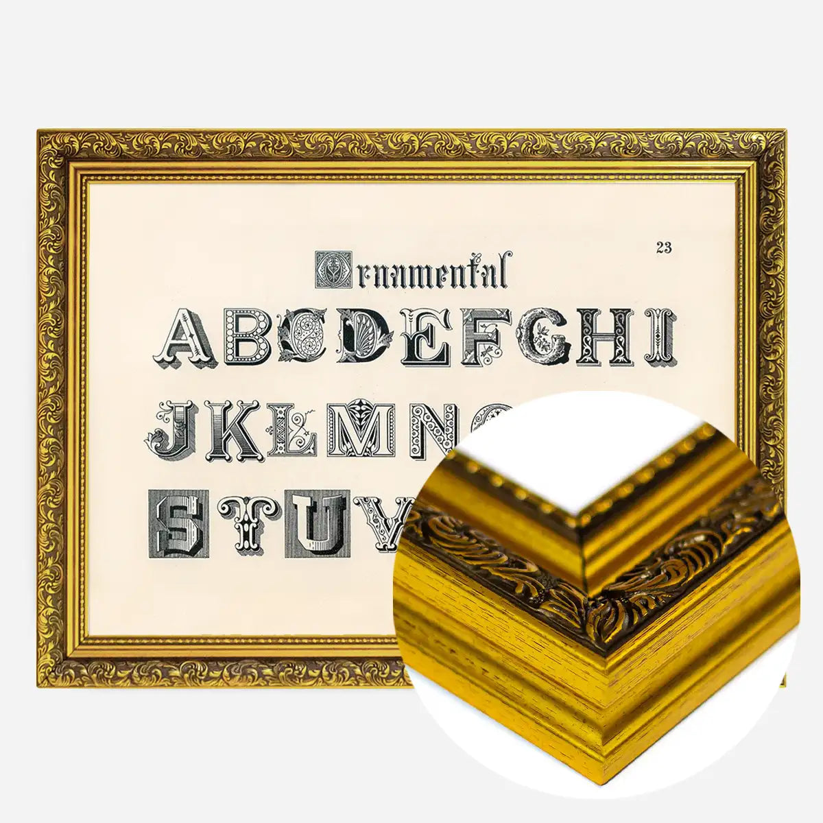 Vintage Ornamental Alphabet Typography