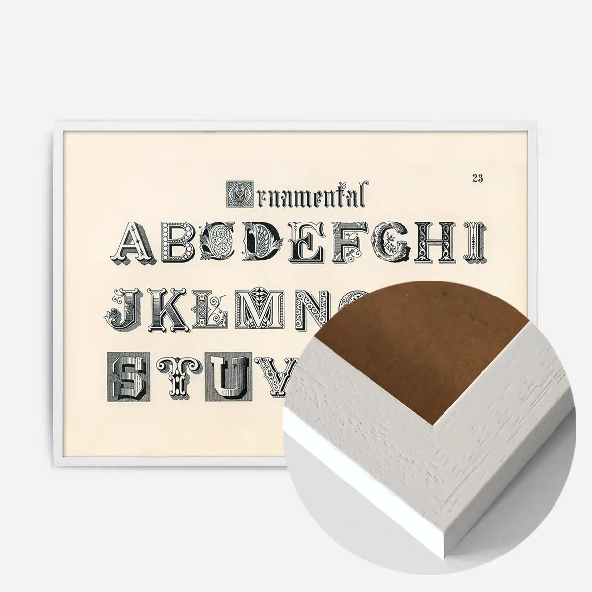 Vintage Ornamental Alphabet Typography