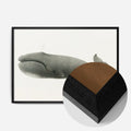 Black Wood Frame