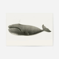 Vintage Pacific Whale Landscape Print