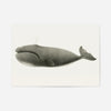 Vintage Pacific Whale Landscape Print