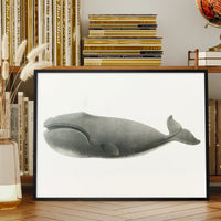 Vintage Pacific Whale Landscape Print