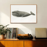 Vintage Pacific Whale Landscape Print