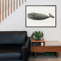 Vintage Pacific Whale Landscape Print