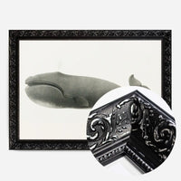 Vintage Pacific Whale Landscape Print