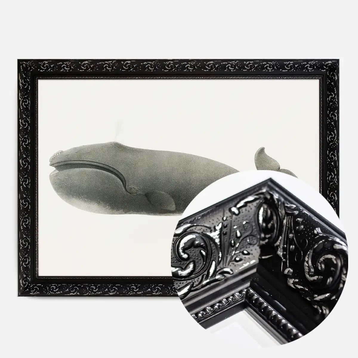 Vintage Pacific Whale Landscape Print
