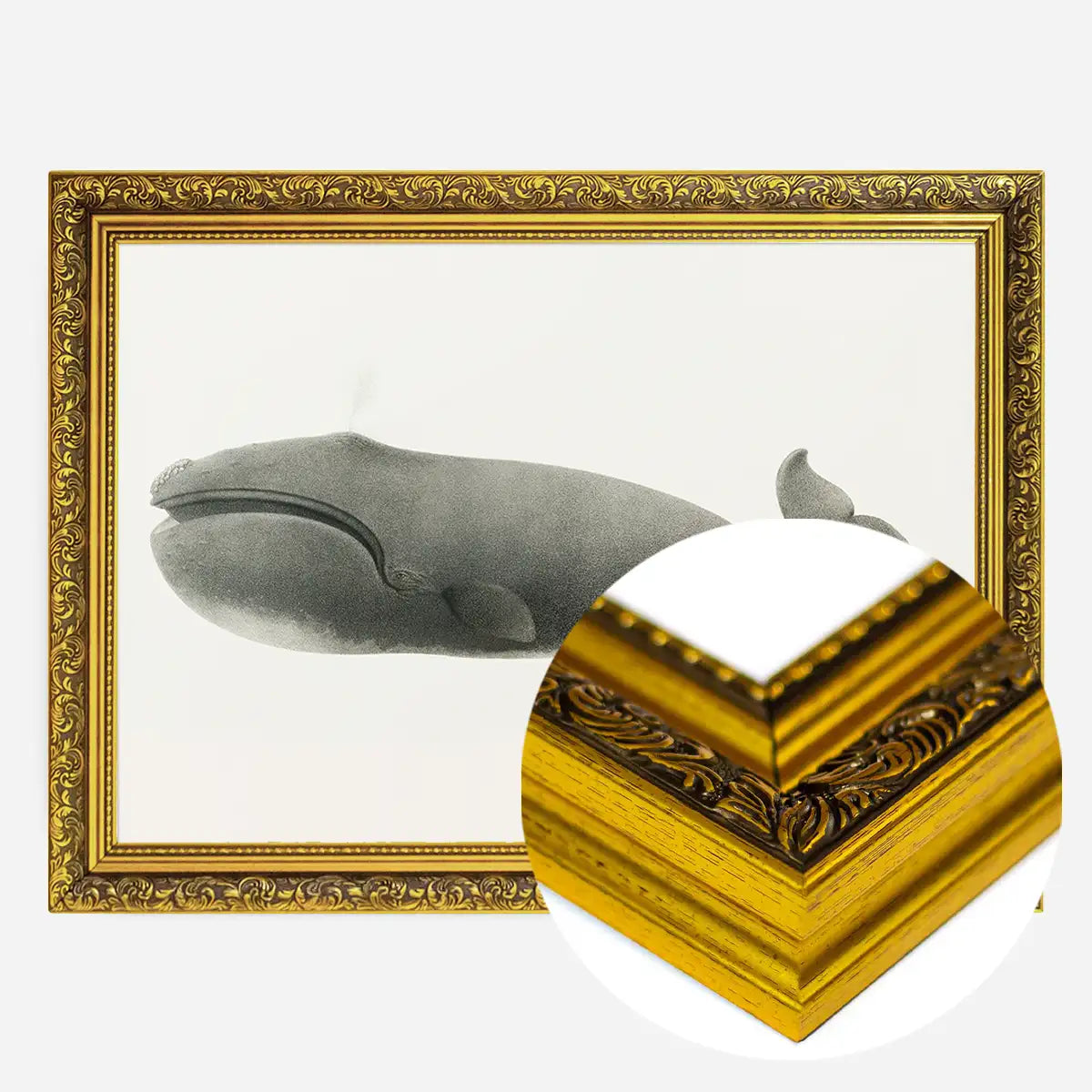 Vintage Pacific Whale Landscape Print