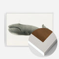 White Wood Frame