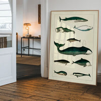 Vintage Whales Poster