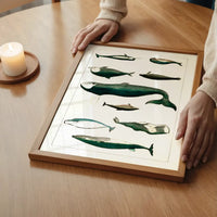 Vintage Whales Poster