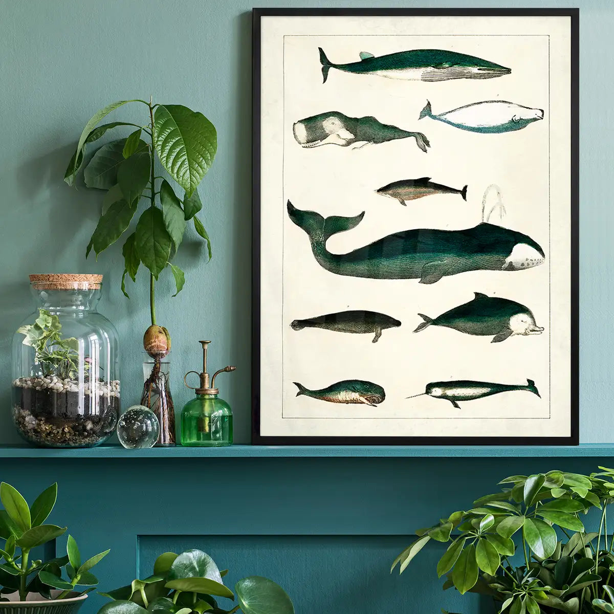 Vintage Whales Poster