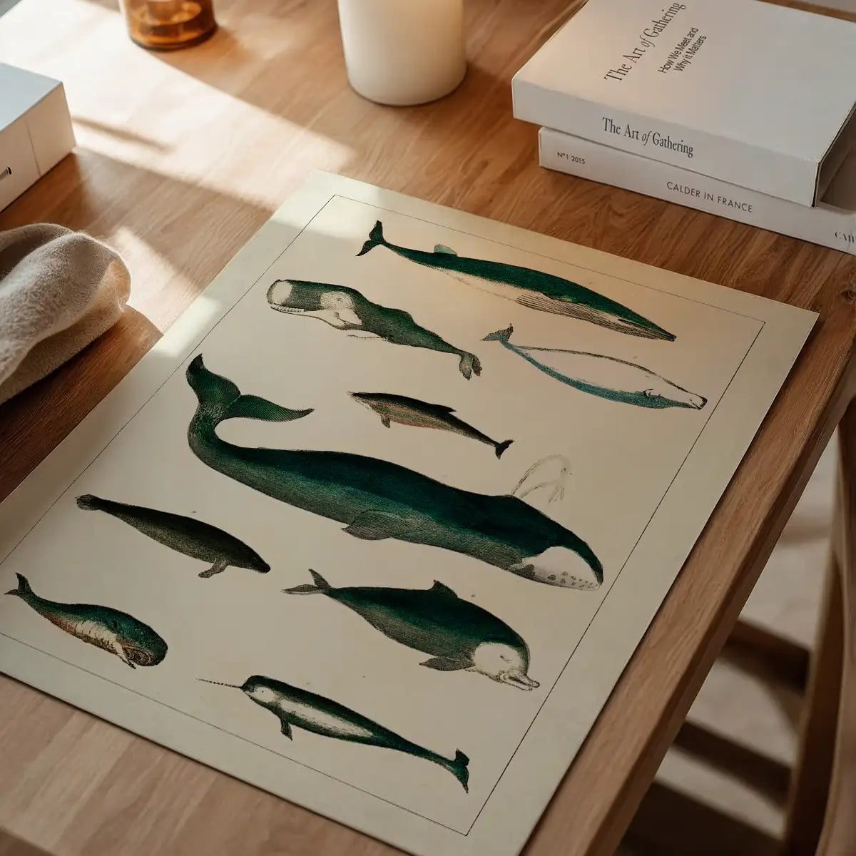 Vintage Whales Poster
