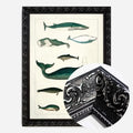 Black Ornate Frame
