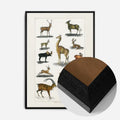 Black Wood Frame
