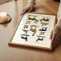 Collection of animals with antlers by Oliver goldsmith vintage poster