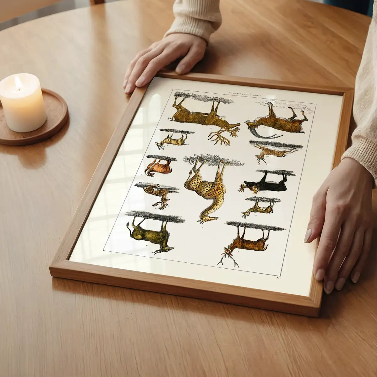 Collection of animals with antlers by Oliver goldsmith vintage poster