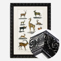 Black Ornate Frame