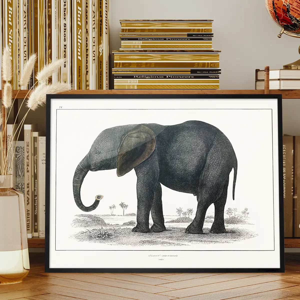 Vintage Dark Grey Elephant 1848 by Oliver Goldsmith