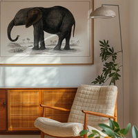 Vintage Dark Grey Elephant 1848 by Oliver Goldsmith