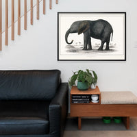 Vintage Dark Grey Elephant 1848 by Oliver Goldsmith