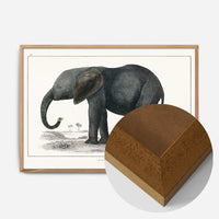 Vintage Dark Grey Elephant 1848 by Oliver Goldsmith