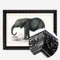 Black Ornate Frame