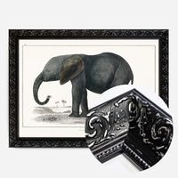 Vintage Dark Grey Elephant 1848 by Oliver Goldsmith