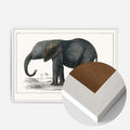 White Wood Frame
